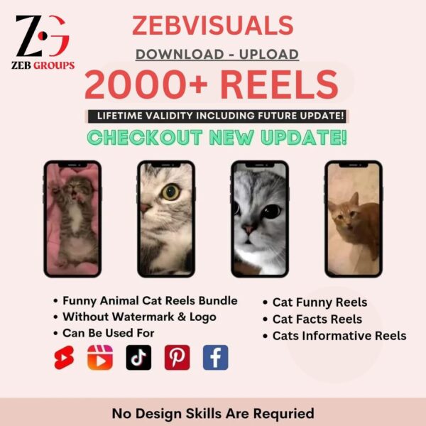 Cat 🐱 Reels Bundle